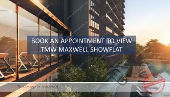TMW-Maxwell-Showflat TMW-Maxwell-Showflat