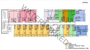 TMW-Maxwell-Site-Plan-Typical-Units-L19